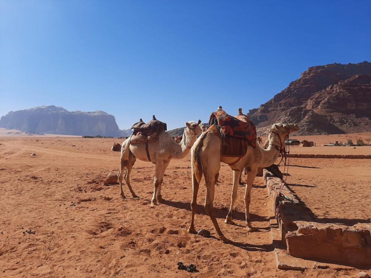 Wadi Rum Secrets Camp Exterior photo
