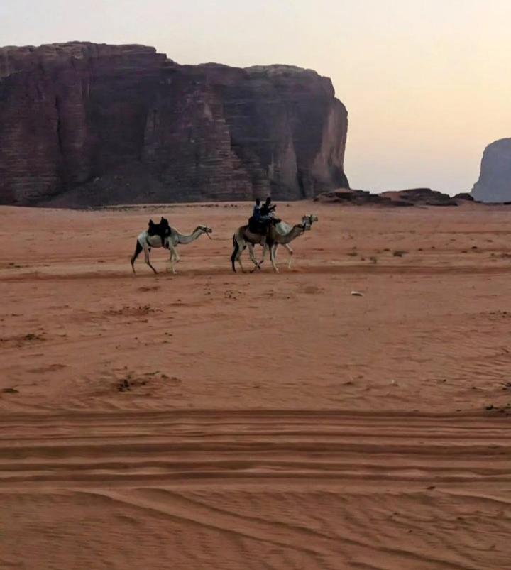 Wadi Rum Secrets Camp Exterior photo